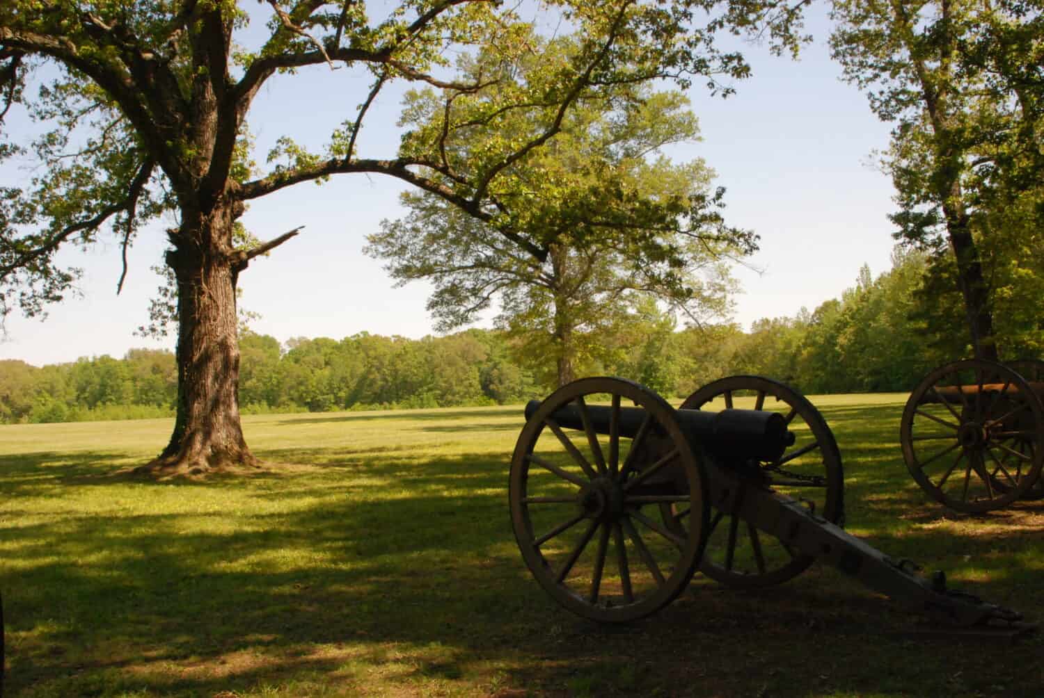 Cannon At Shiloh National Park