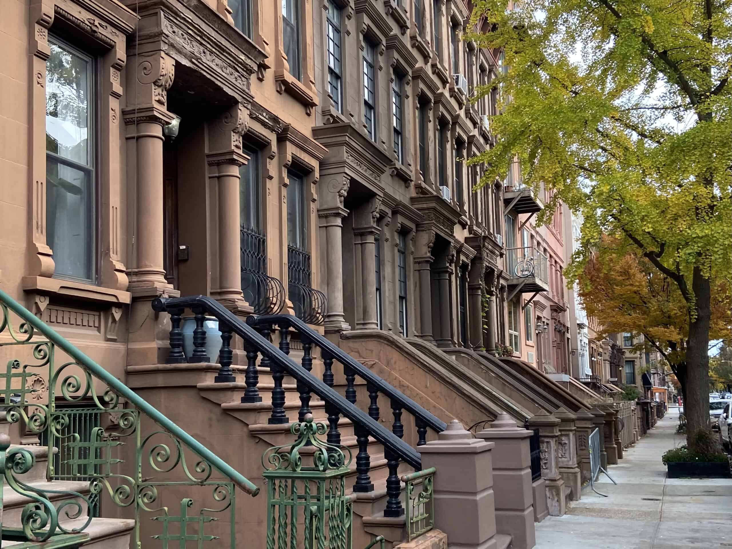 Row of elegant Harlem brownstone stoops in the fall