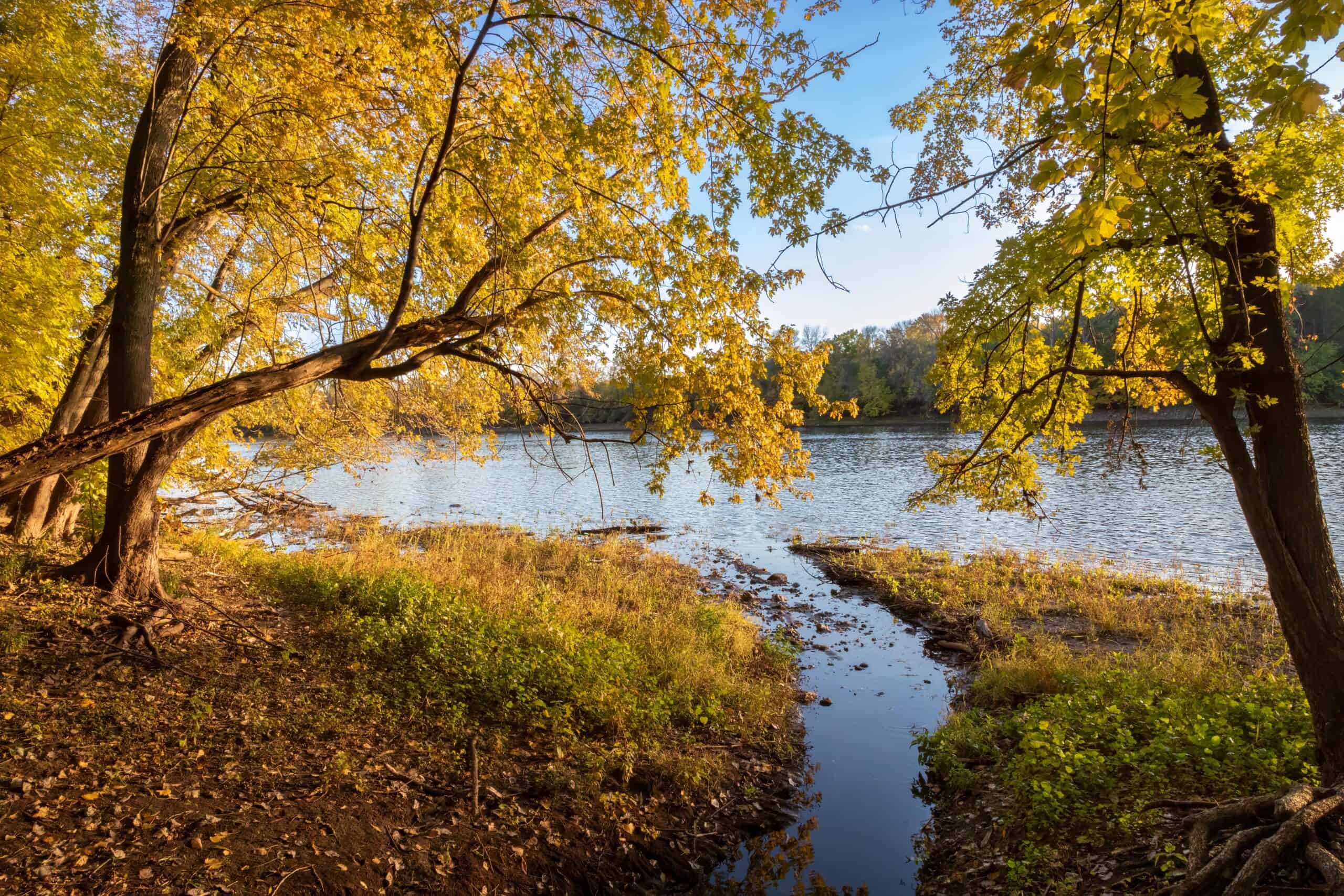 Fridley, Minnesota | Mississippi River Fall Colors at Riverview Heights Park in Fridley Minnesota