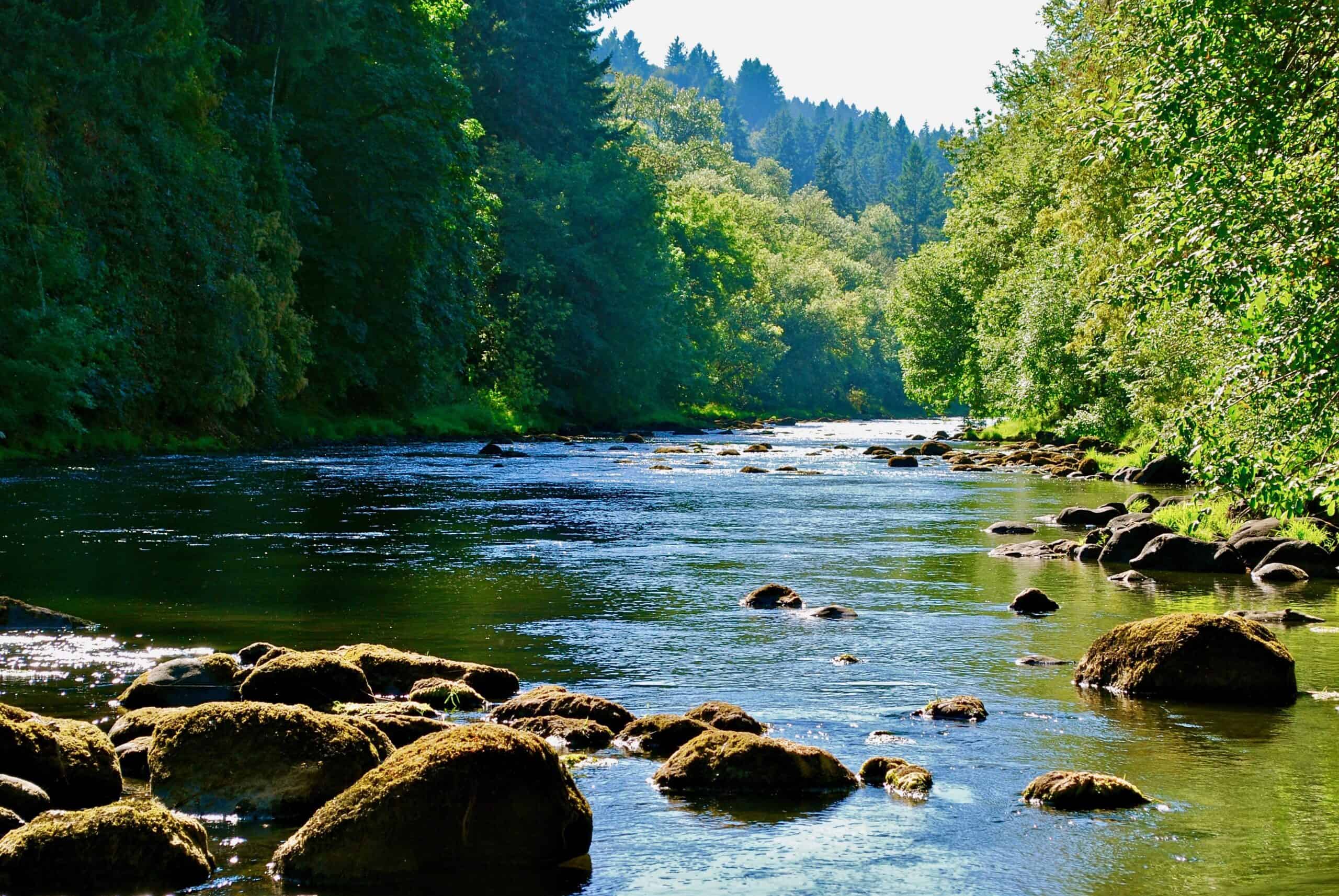 West Linn, Oregon | Tualatin River