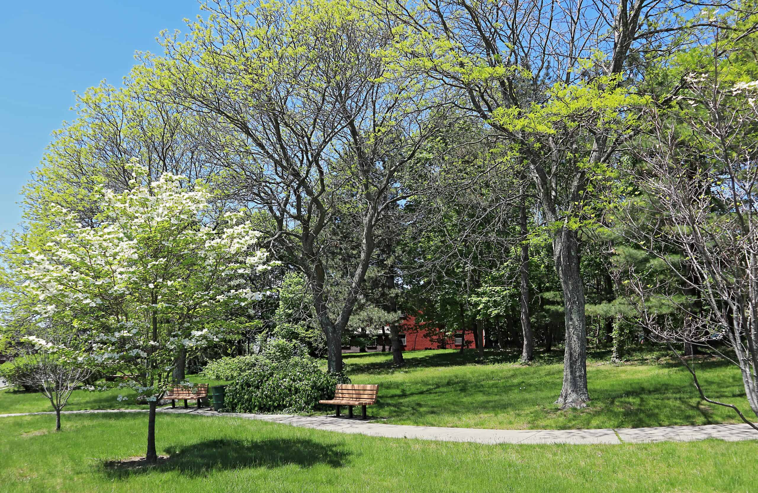 Quincy, Massachusetts | Small neighborhood park in residential area of Quincy, Massachusetts