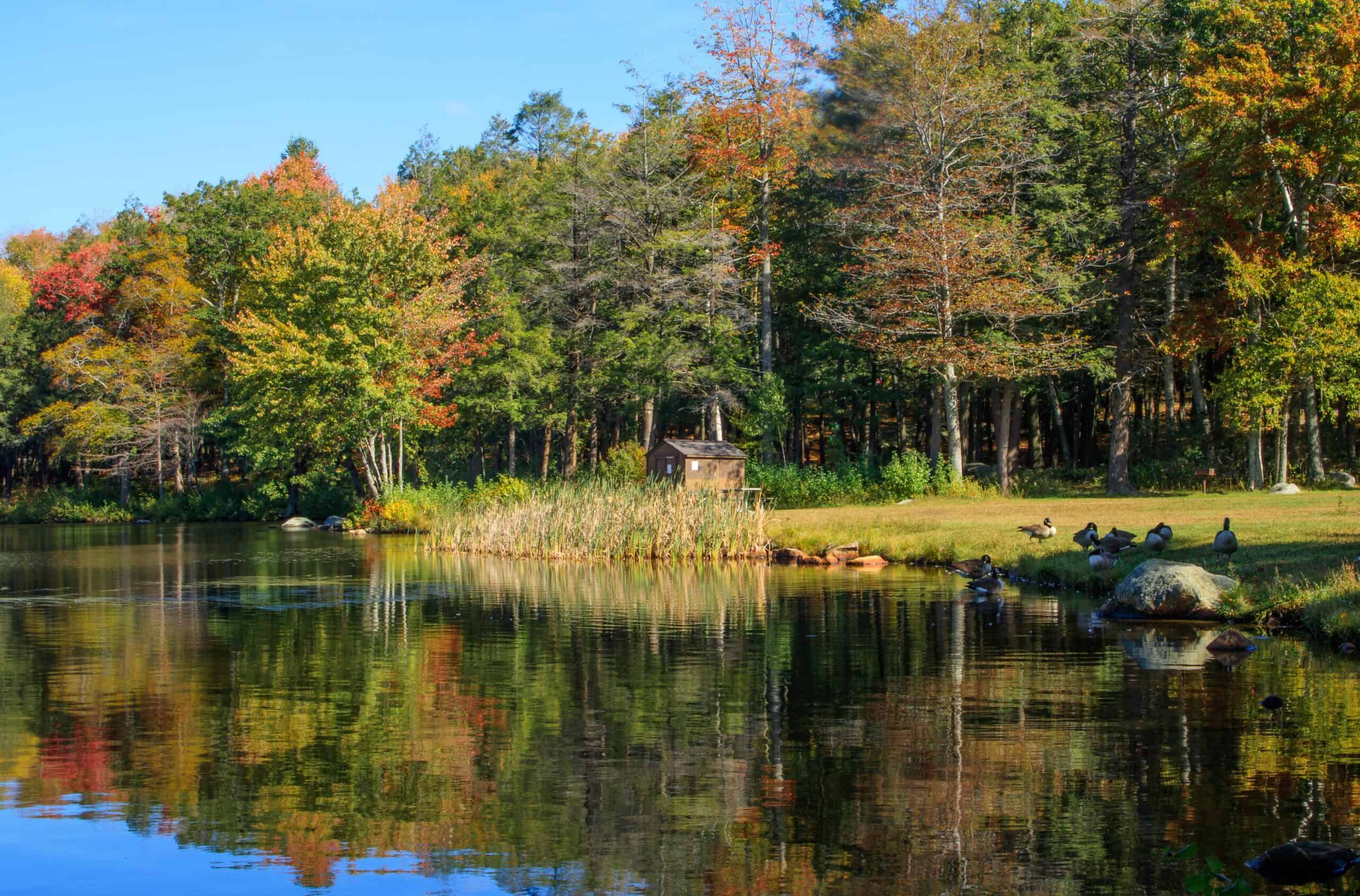 Torrington, Connecticut | Trees reflected in Burr Pond