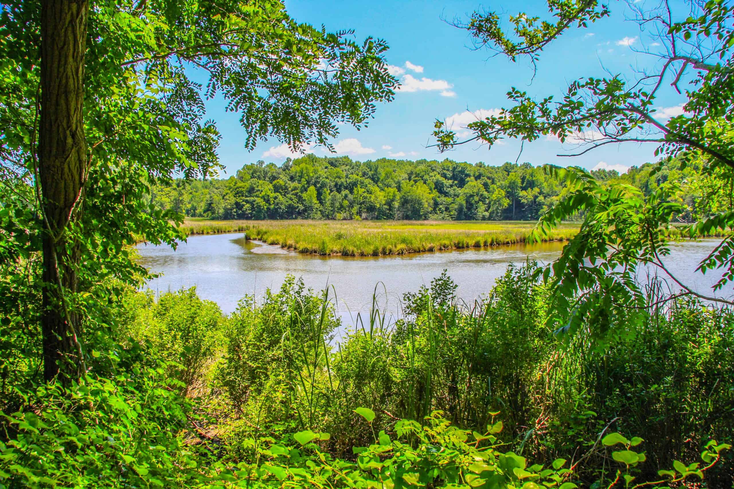 Calvert, Maryland | View of Parker's Creek in Calvert County Maryland