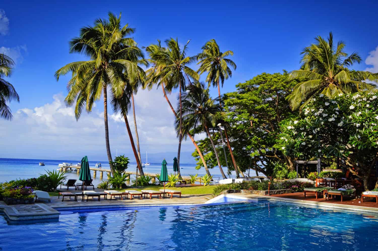 Paradise like resort pool in Fiji Islands