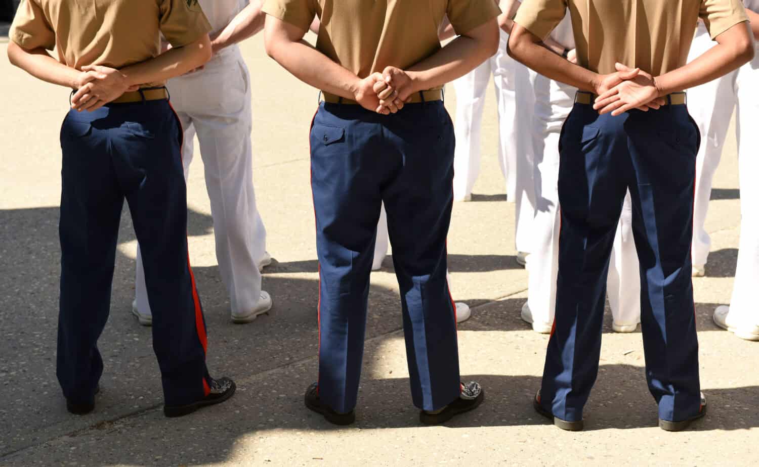 US Navy sailors from the back. US Navy army.