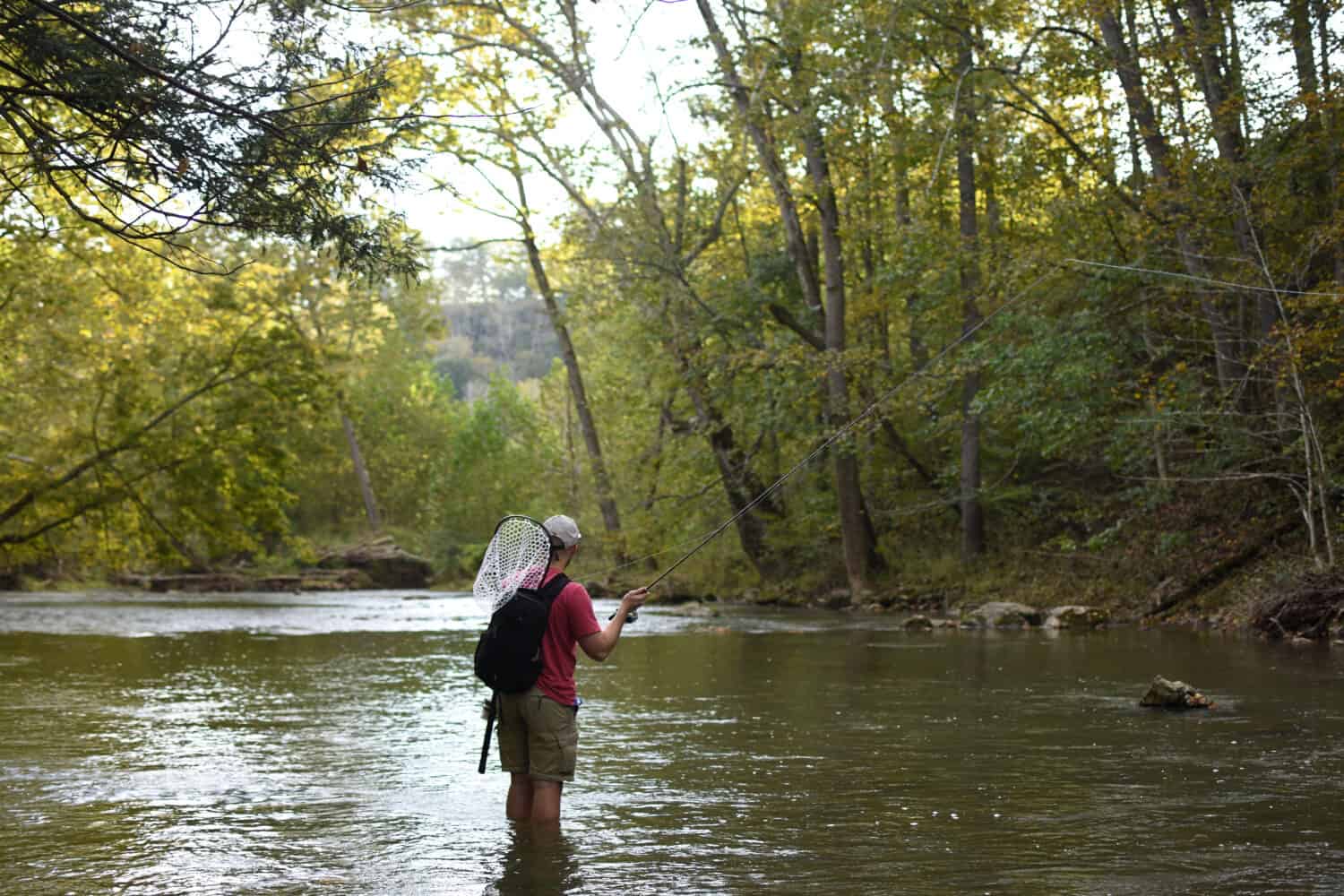 Fly fisherman chasing wild trout in West Virginia's mountains