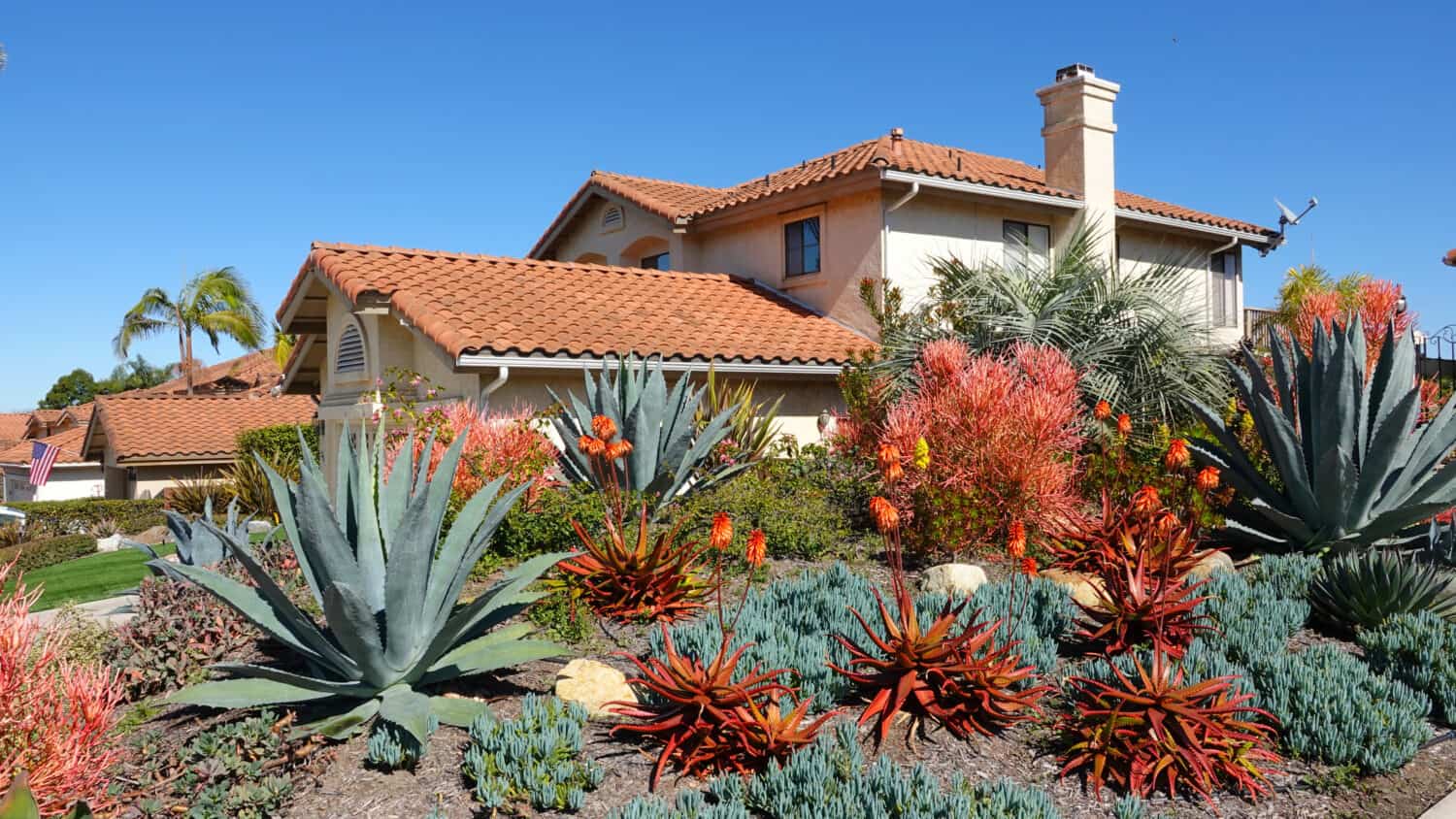 Drought tolerant landscaping in Southern California by Simone Hogan