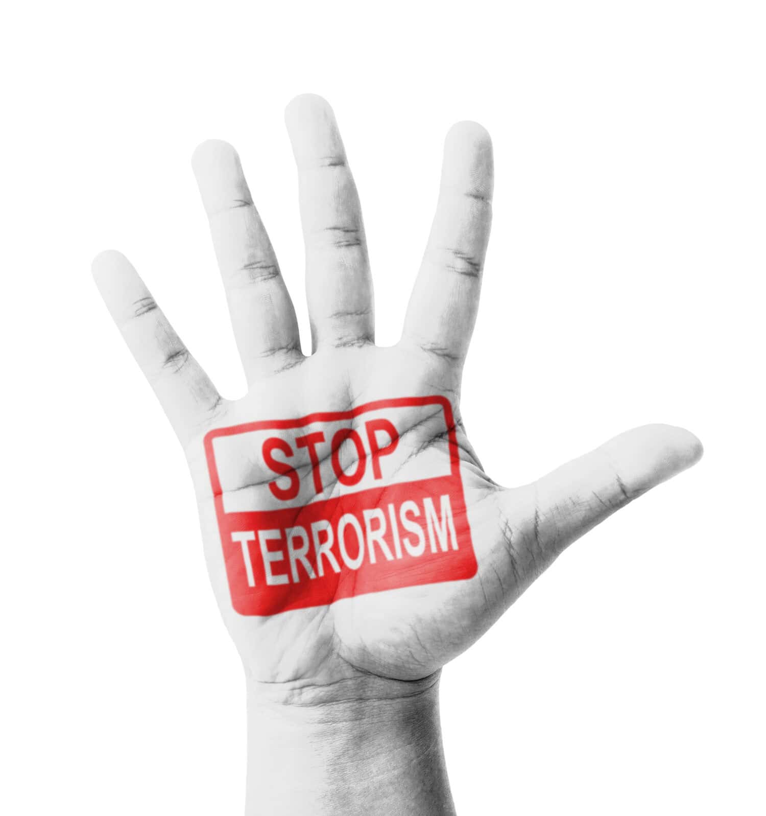 Open hand raised, Stop Terrorism sign painted, multi purpose concept - isolated on white background