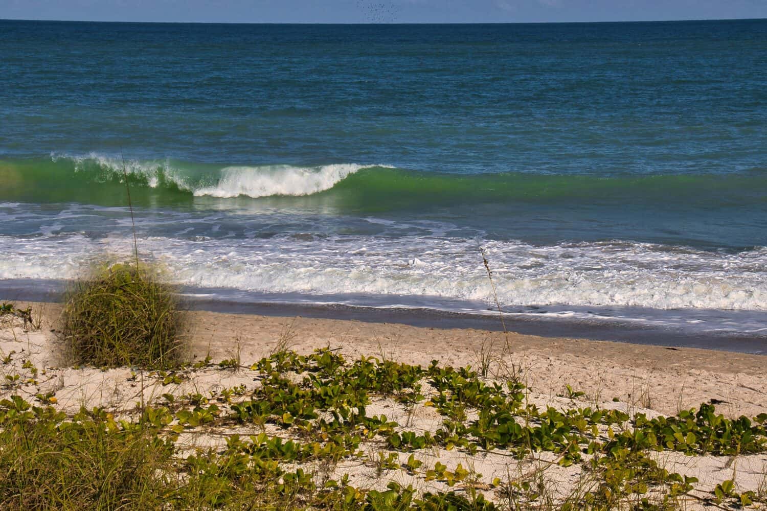 Empty beaches at Wabasso Beach Florida
