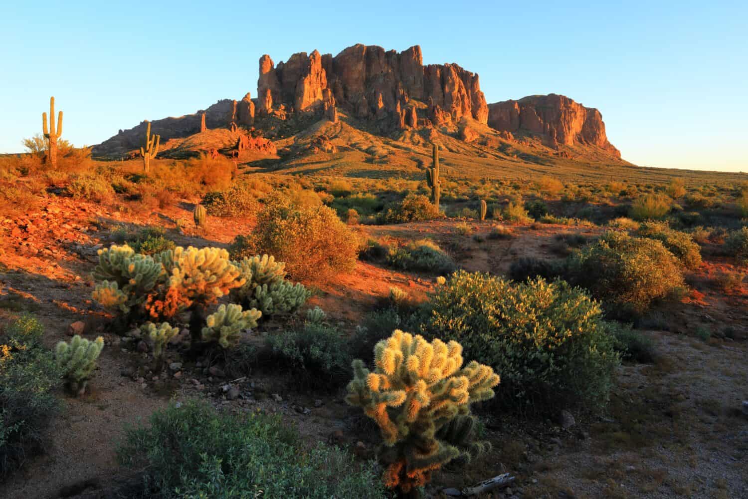 Saguaros and Superstition Mountains, Lost Dutchman State Park, Apache Junction, Arizona, USA by Fotogro