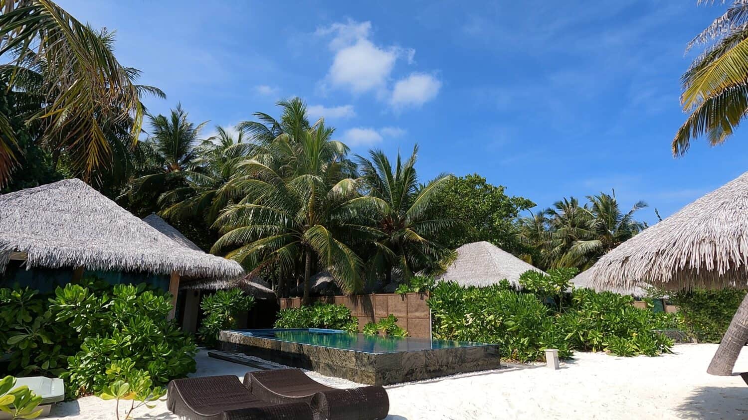 Sunbathing area on the beach, sun loungers and umbrellas. Tropical forest, palm trees, swimming pool. Maldives, beauty, white sand on the beach