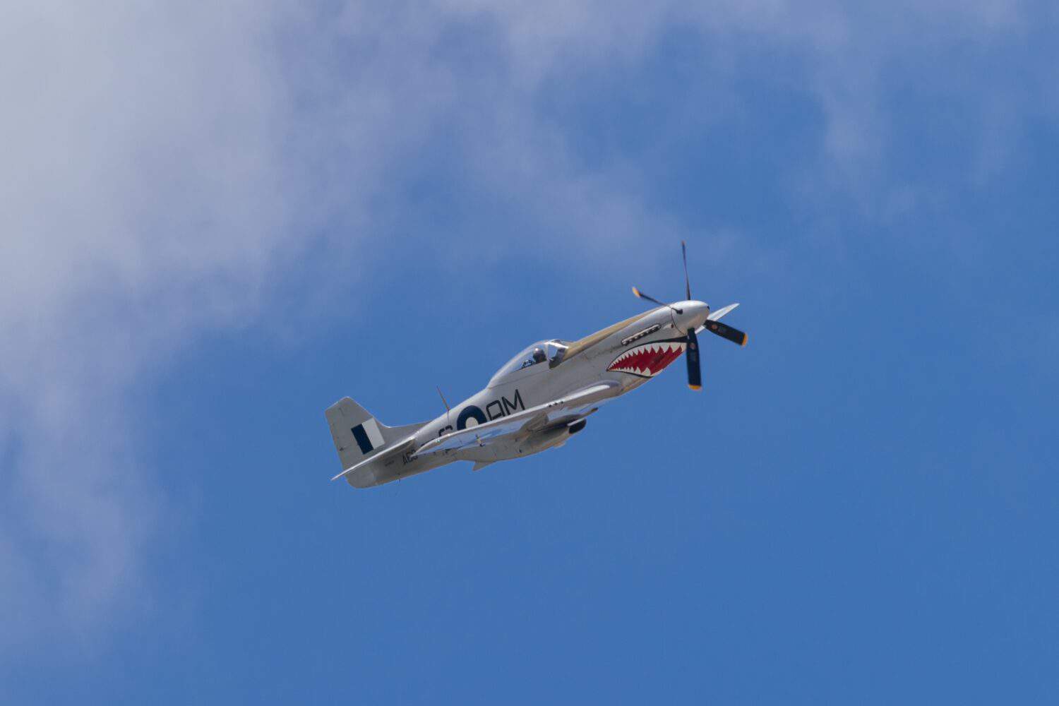 RAAF P51 Mustang VH-SVU (A68-750) doing a demonstration in Geelong, Australia for Australia day on January 26th, 2024