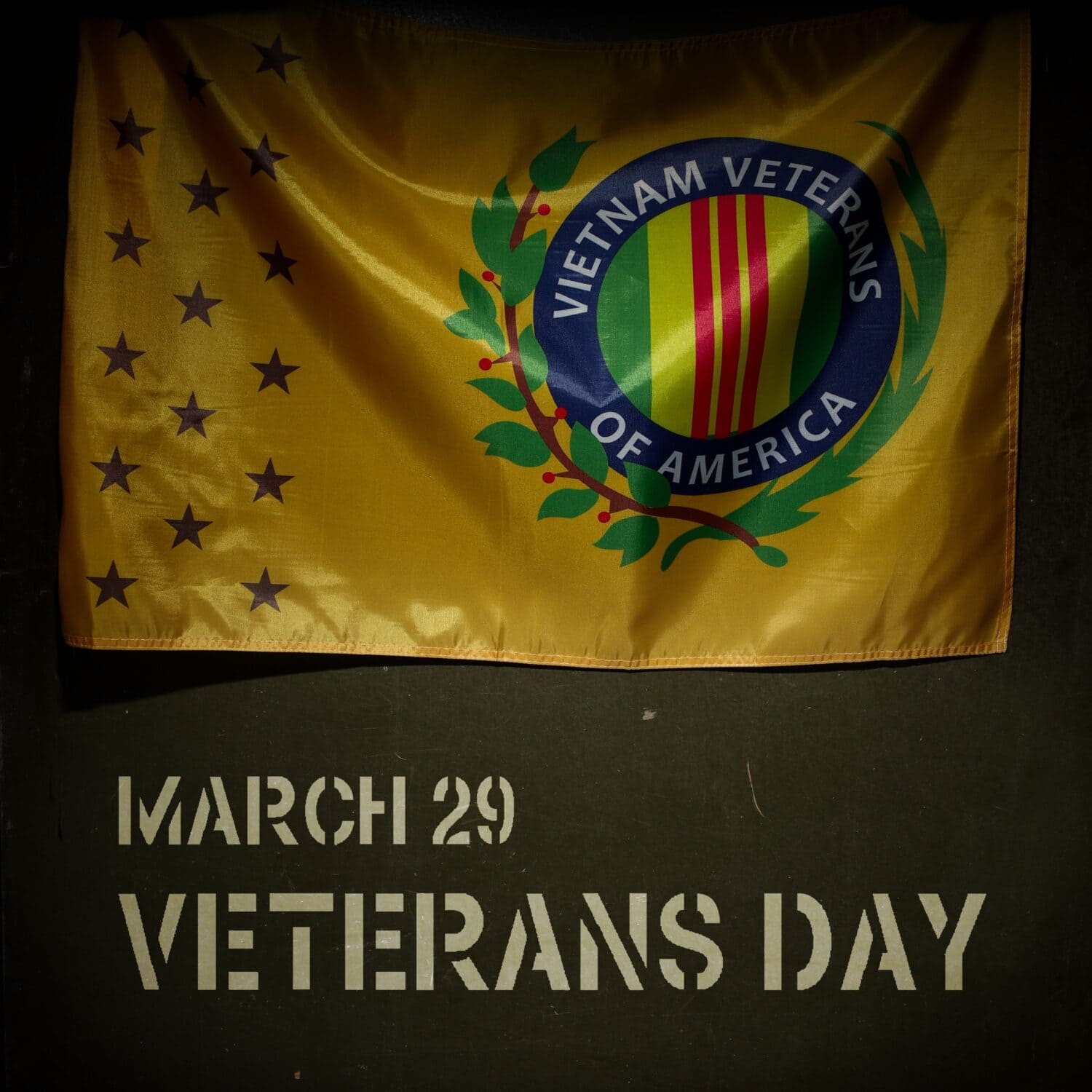 Veterans Day. America. Vietnam war veterans flag. USA holiday.