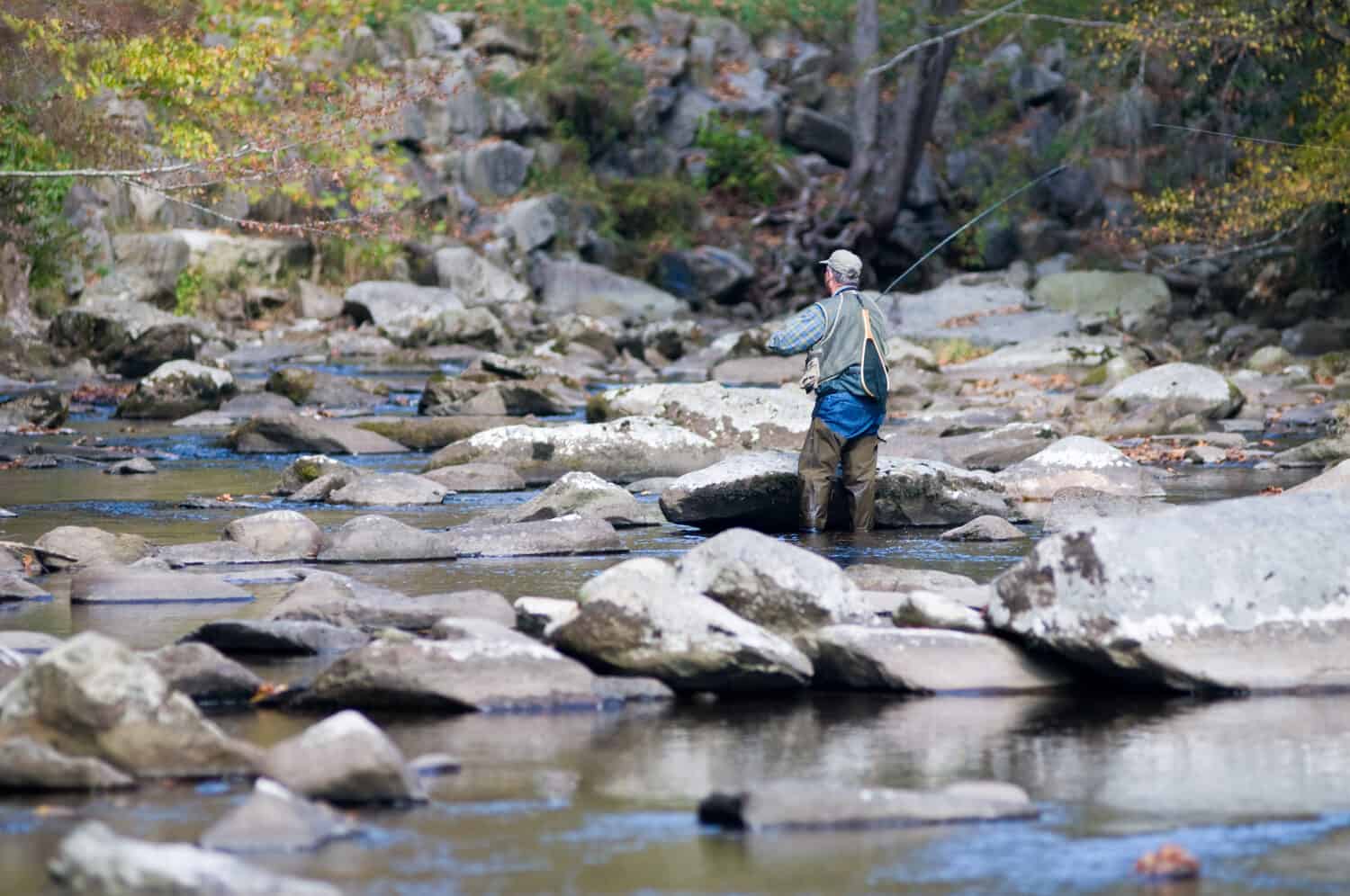 Fly fishing in the Little River of the Great Smoky Mountains National Park