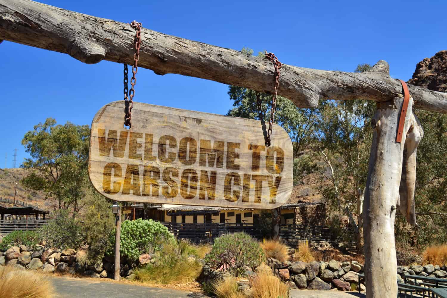 old vintage wood signboard with text " welcome to Carson City" hanging on a branch