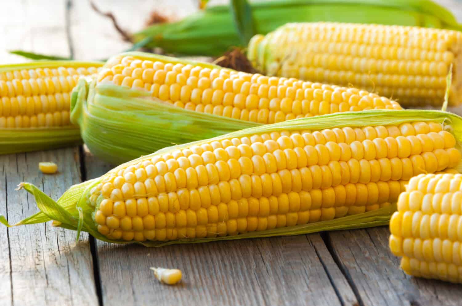 Fresh corn on cobs on wooden table, closeup, top view