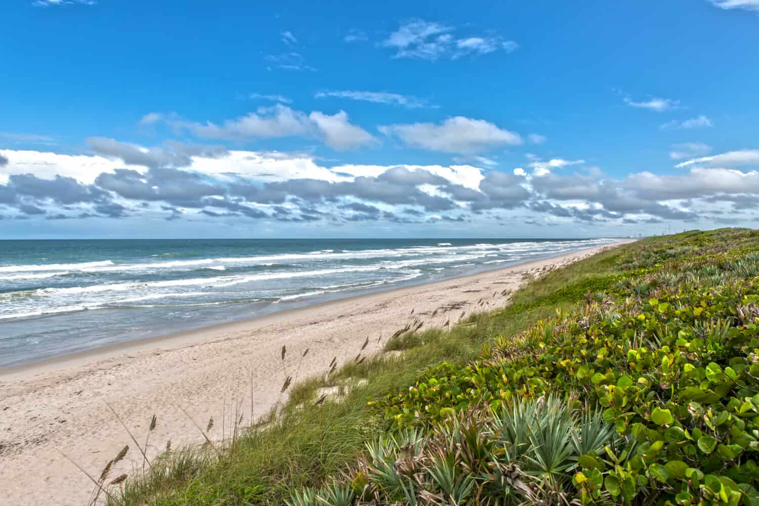 Beach at Canaveral National Seashore at Cape Canaveral, Florida by Susanne Pommer