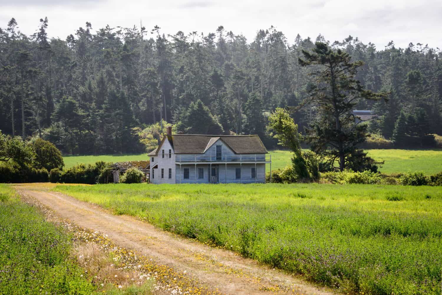 Historic House on Ebey's Landing National Historical Reserve