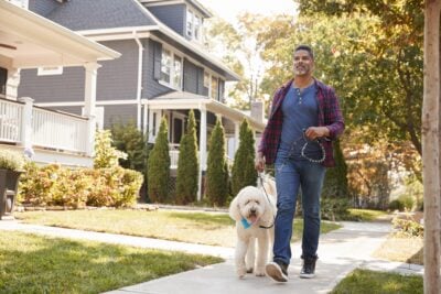 A man with a salt-and-pepper beard, wearing a blue henley shirt under a red and black plaid open shirt and jeans, walks a fluffy white dog on a leash down a sunlit concrete sidewalk. The dog has a light blue bandana. In the background are houses with gray siding, white trim, and dark roofs, surrounded by green lawns, manicured shrubs, and lush trees with autumn-colored leaves.