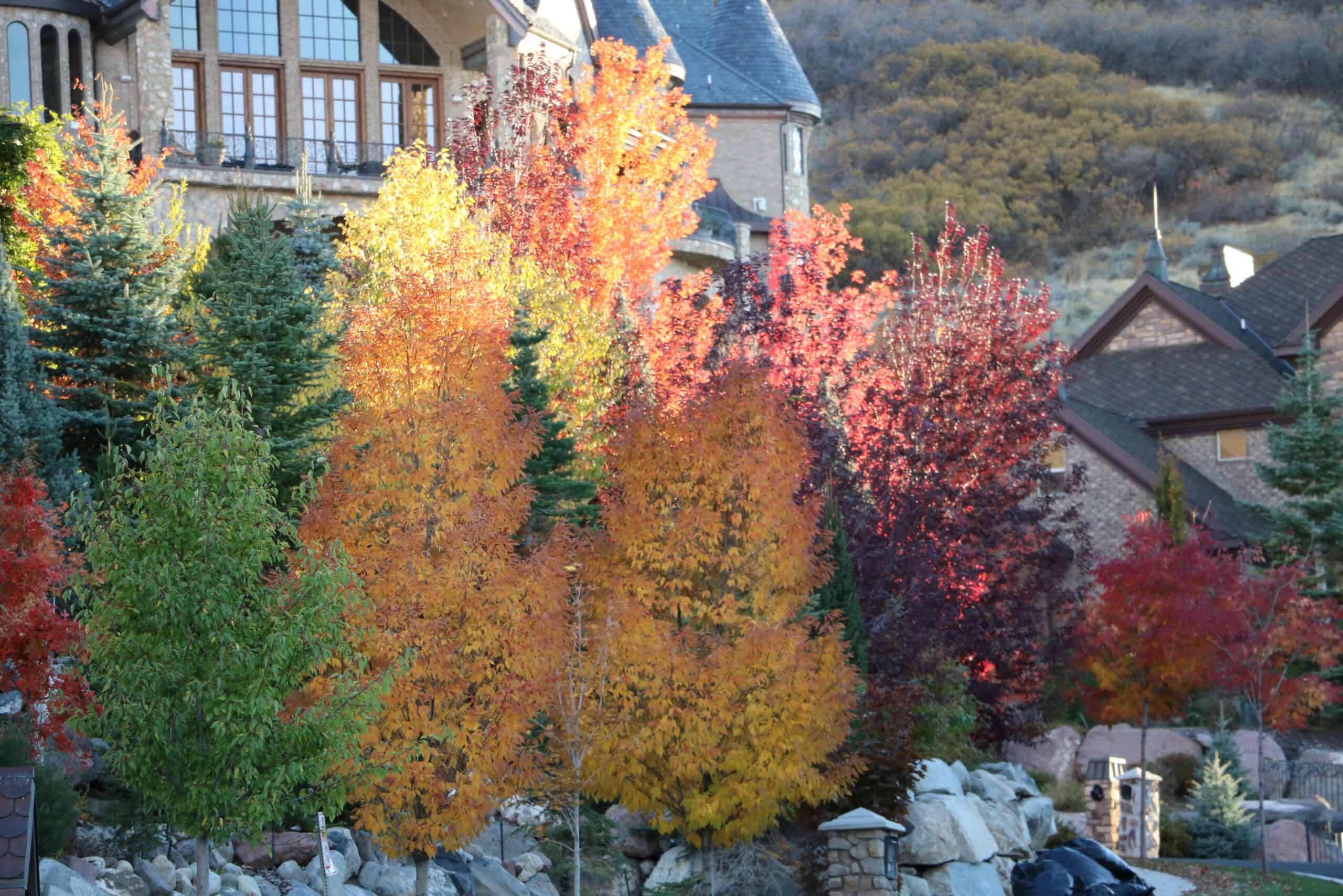 Draper, Utah | Fall colors in Draper, Utah