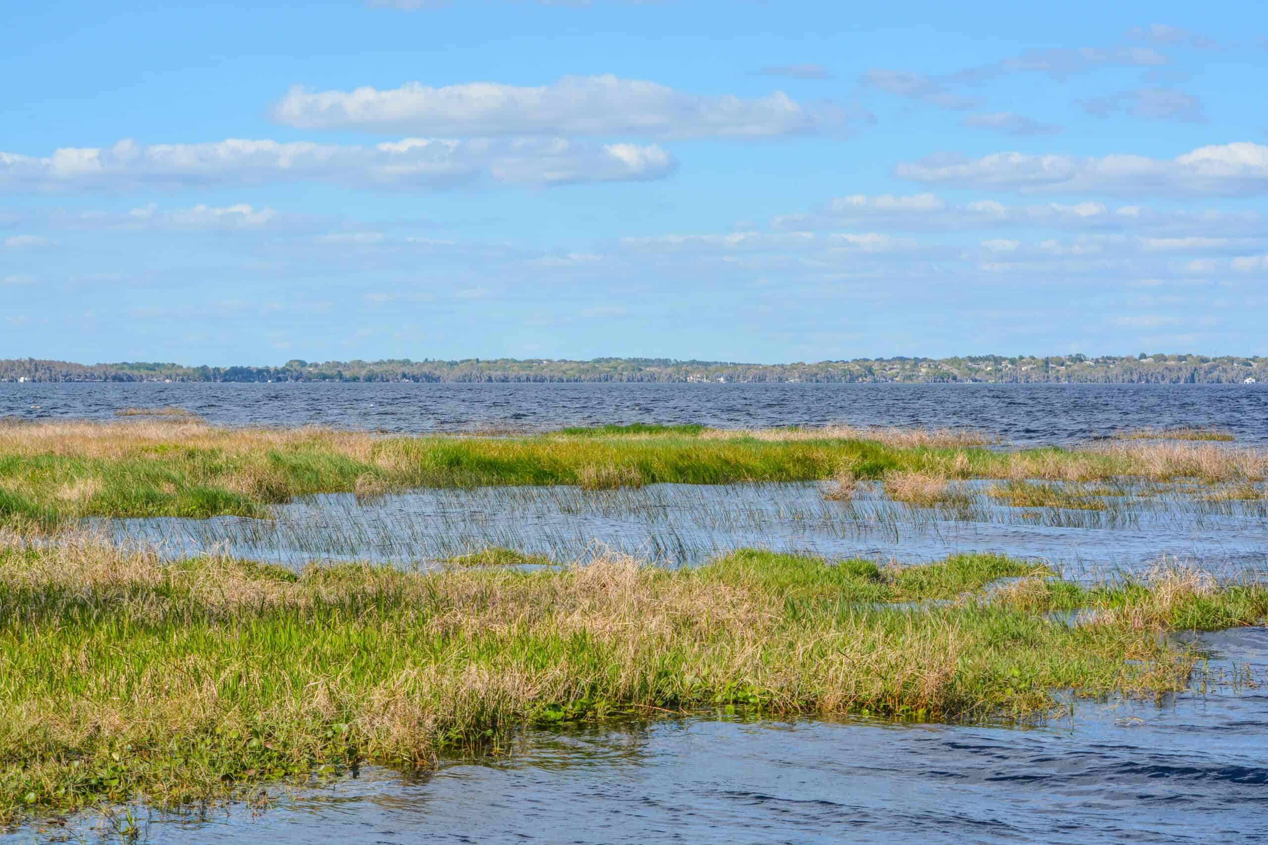 Lake County, Florida | Beautiful view of Lake Louise in the wetlands of Clermont, Lake County, Florida