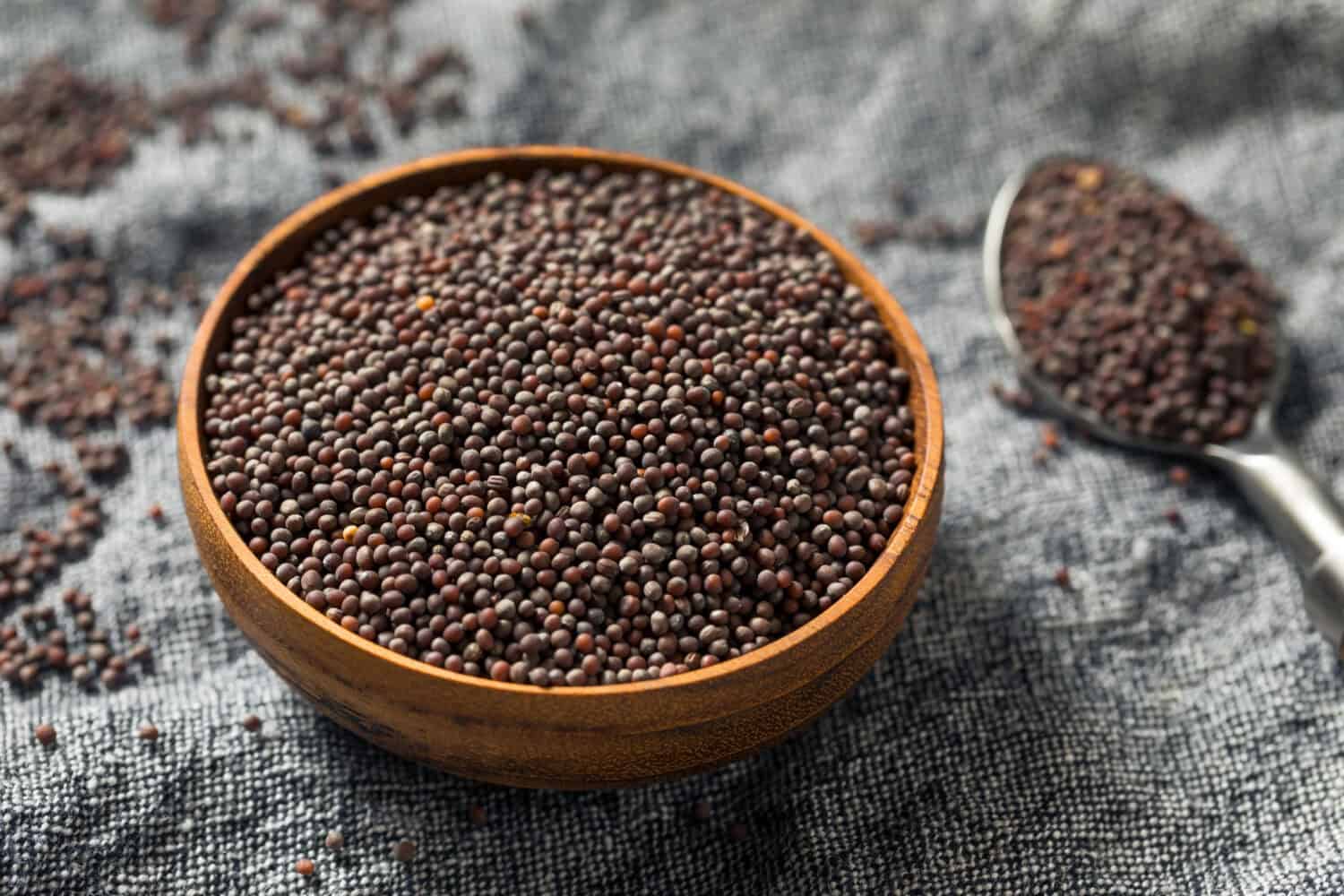 Raw Organic Brown Mustards Seeds in a Bowl