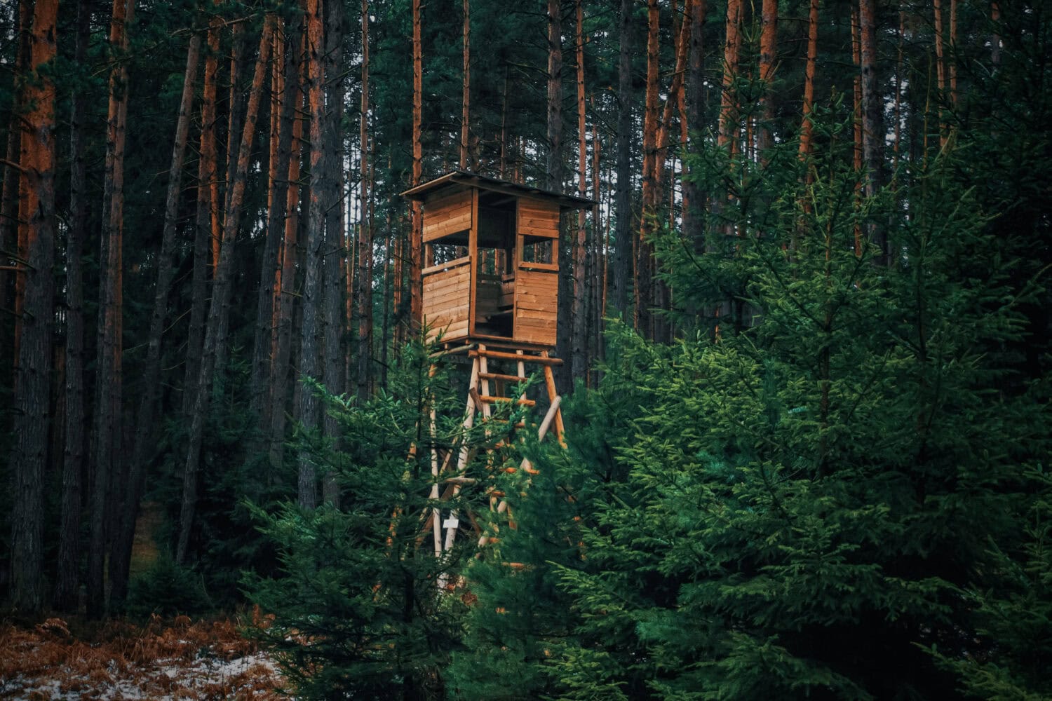 Hunters' booth at the edge of the forest and in the forest