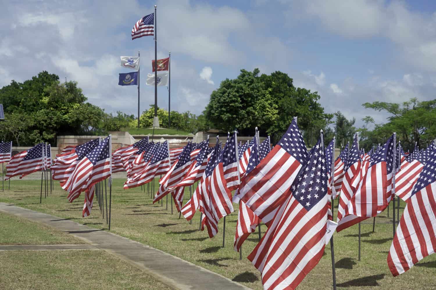 Many american flags at American Memorial Park on Saipan
