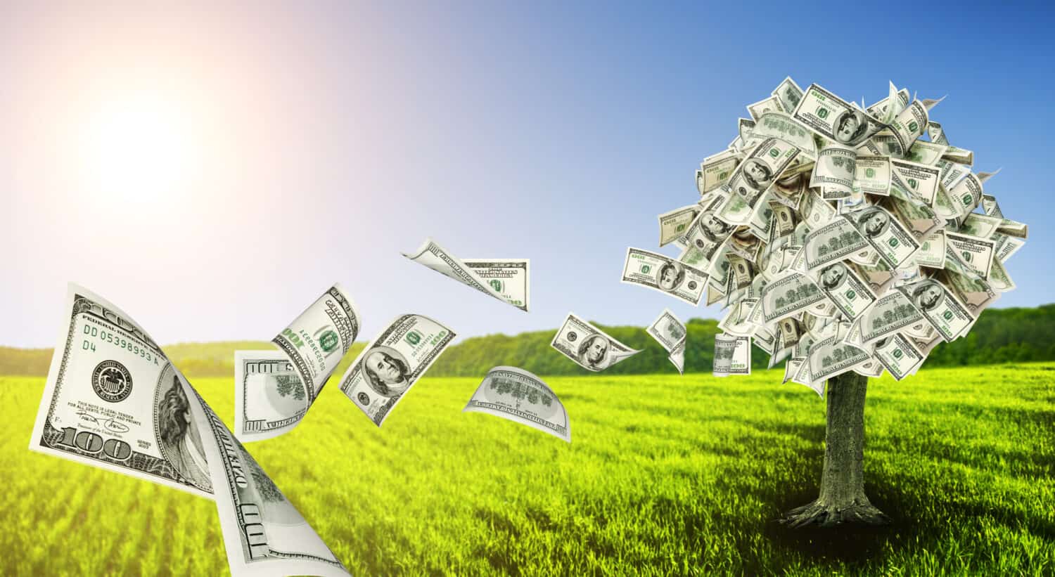 Money tree growing in the middle of green meadow