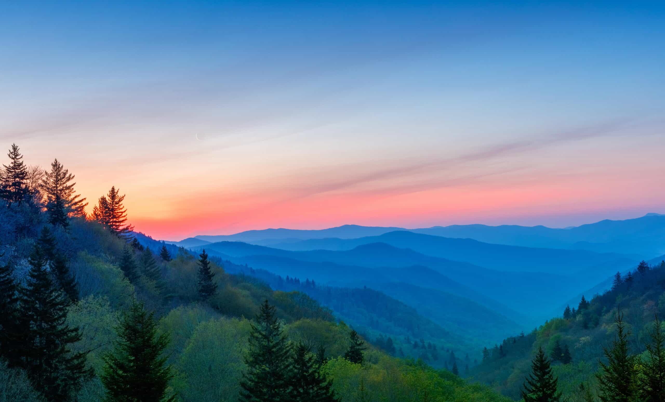 forest in North Carolina | Misty Rolling Mountain Range Just Before Sunrise at Great Smoky Mountains National Park