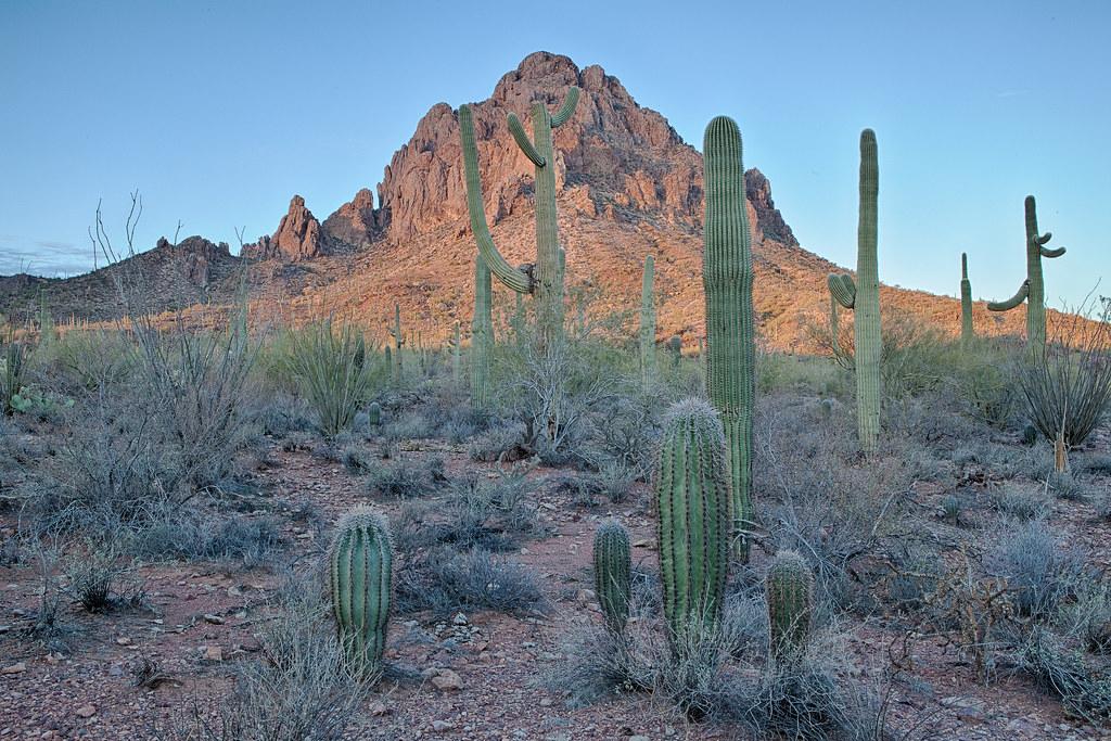 BLM Winter Bucket List #10: Ironwood Forest National Monument, Arizona, for Mild Temperatures and Winter Photography by mypubliclands