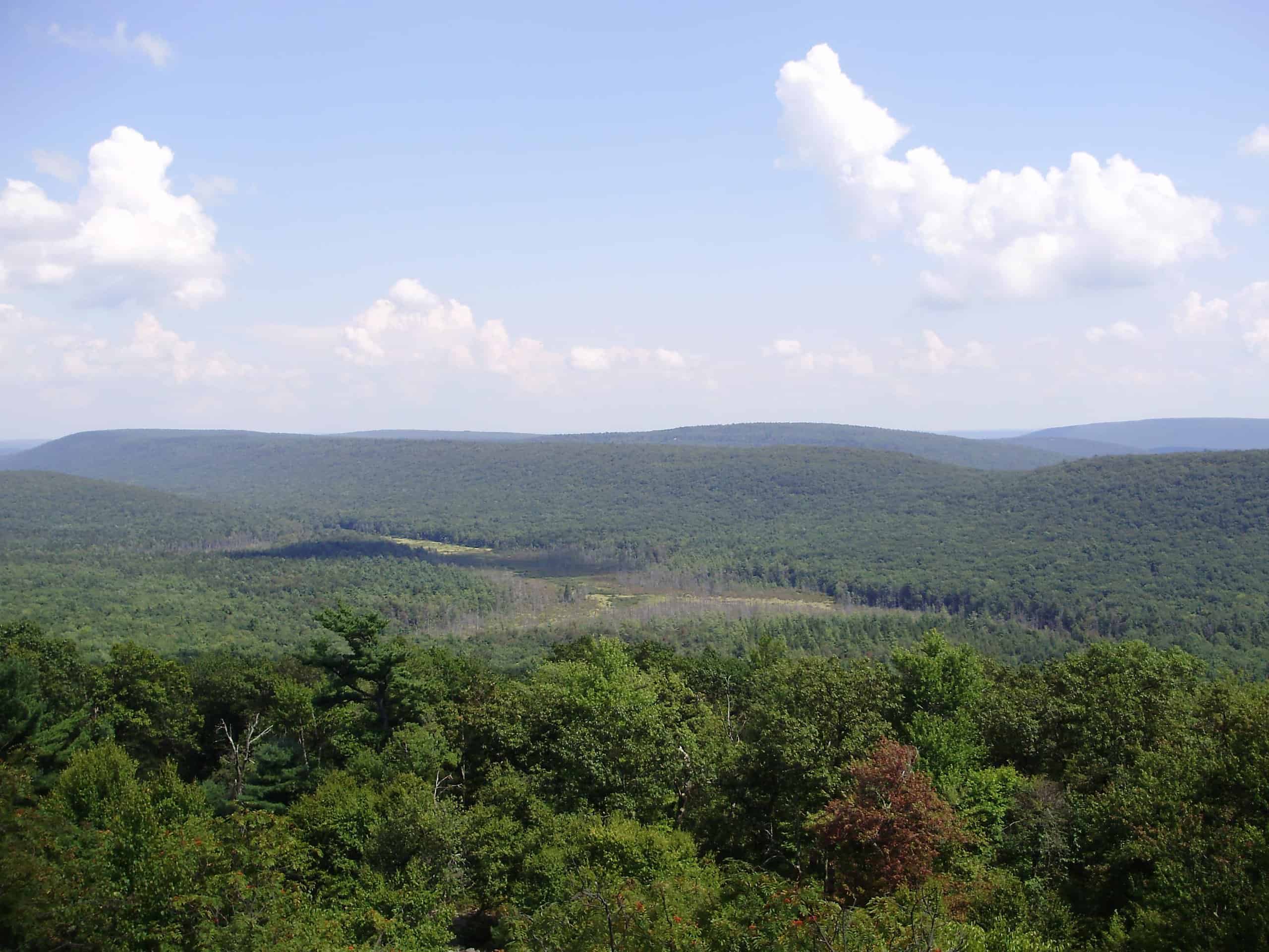 File:2012-08-22 View of Bear Meadows in Pennsylvania in Rothrock State Forest from the Mid-State Trail to the northwest.jpg by Famartin
