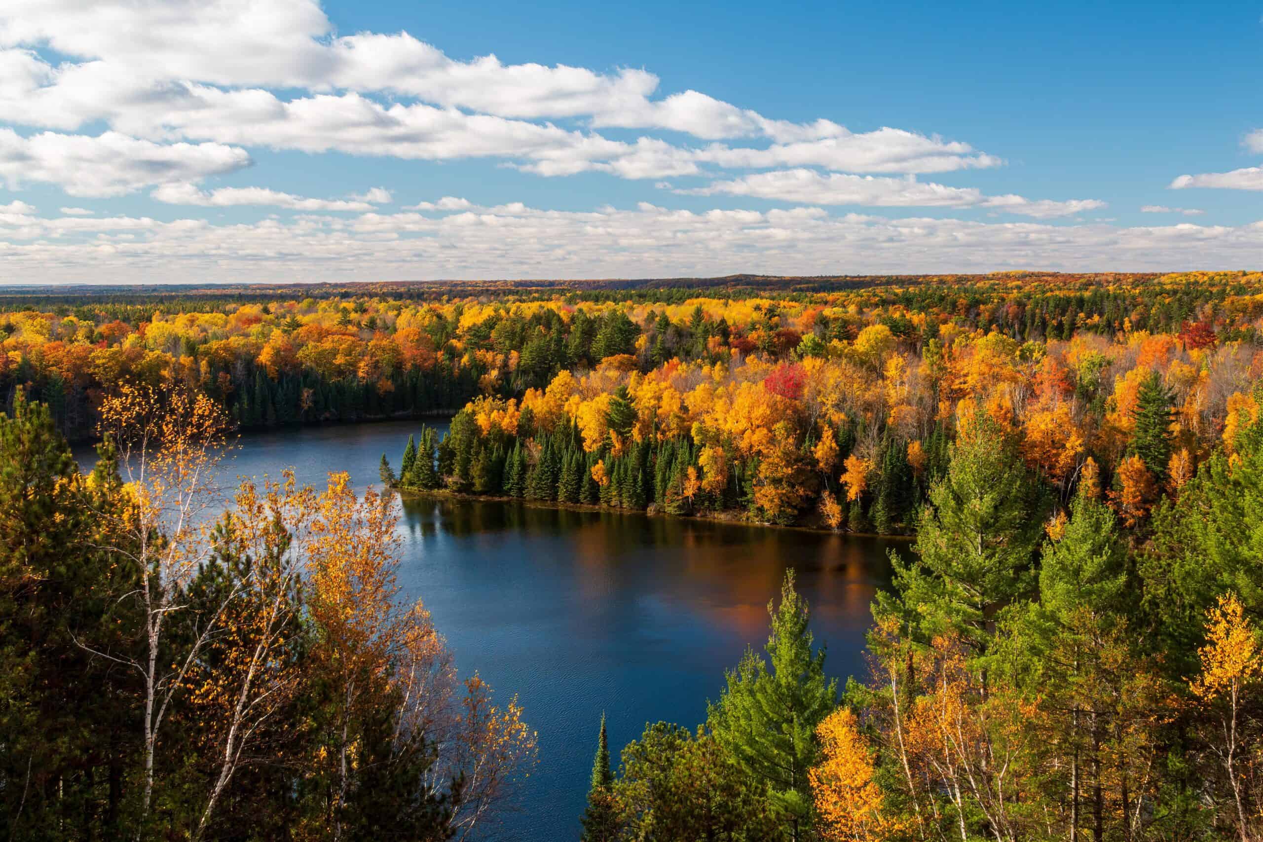forest in Michigan | Sunny Highbanks View During Autumn Over The AuSable River Cooke Dam Pond