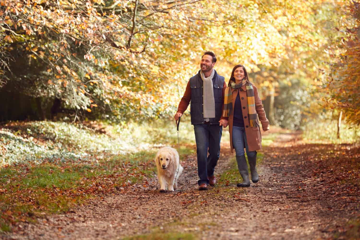 Couple Take Pet Golden Retriever Dog For Walk On Track In Autumn Countryside Holding Hands