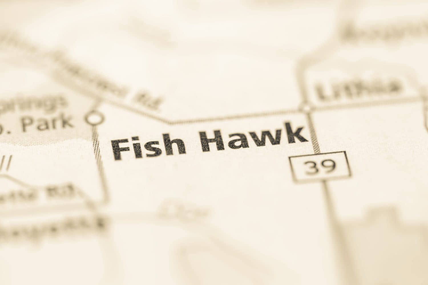 Fish Hawk. Florida. USA