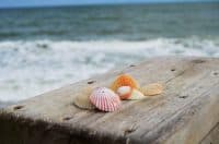 Orchid Island Florida. Beach scene with a pile of shells on top of the beach stairs. Rough ocean can be seen in the background.