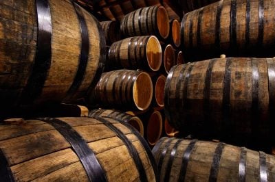 His Distillery Lost $100,000, Then Made $60,000. Social Security Counted the Profit as if the Loss Never Happened.