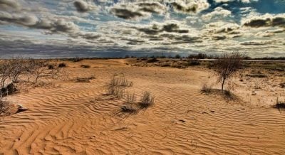 This Is the Most Sparsely Populated Country on Earth