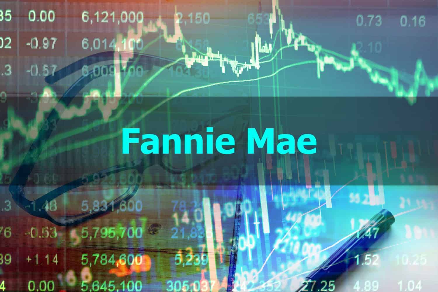 Fannie Mae - Abstract hand writing word to represent the meaning of financial word as concept. The word Fannie Mae is a part of Investment and Wealth management vocabulary in stock photo.
