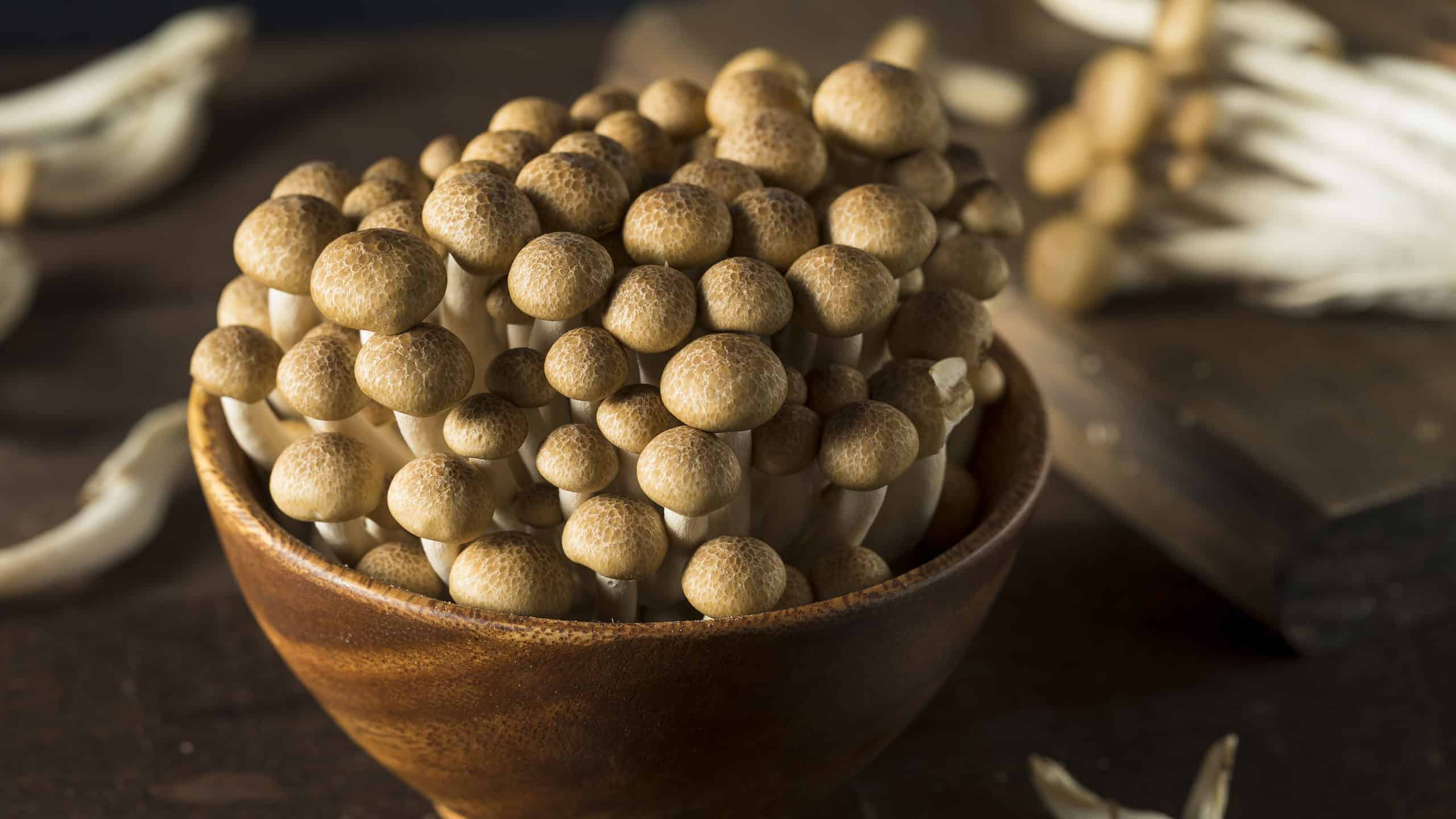 Raw beech mushrooms in a wooden bowl