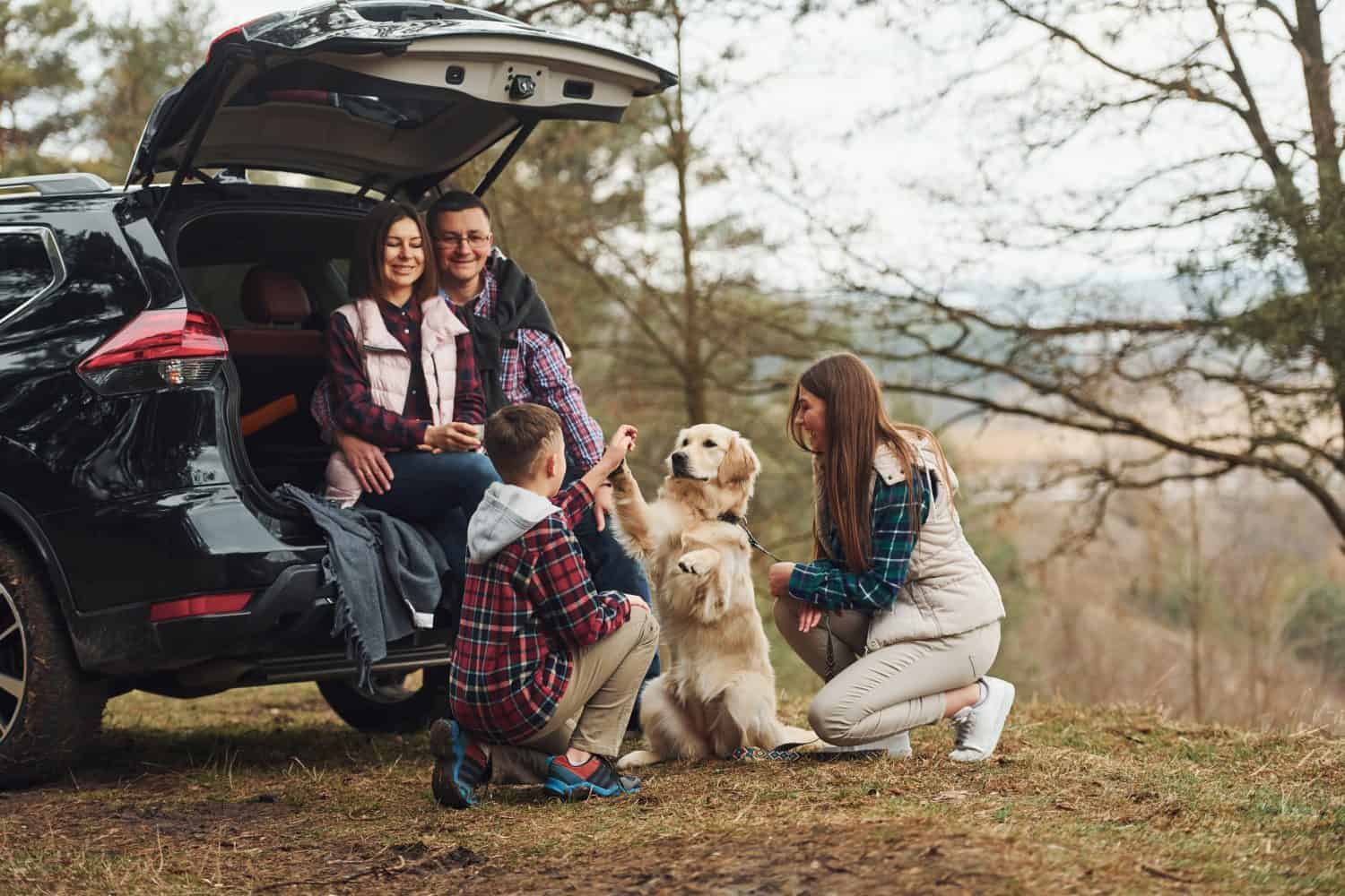 Happy family having fun with their dog near modern car outdoors in forest.