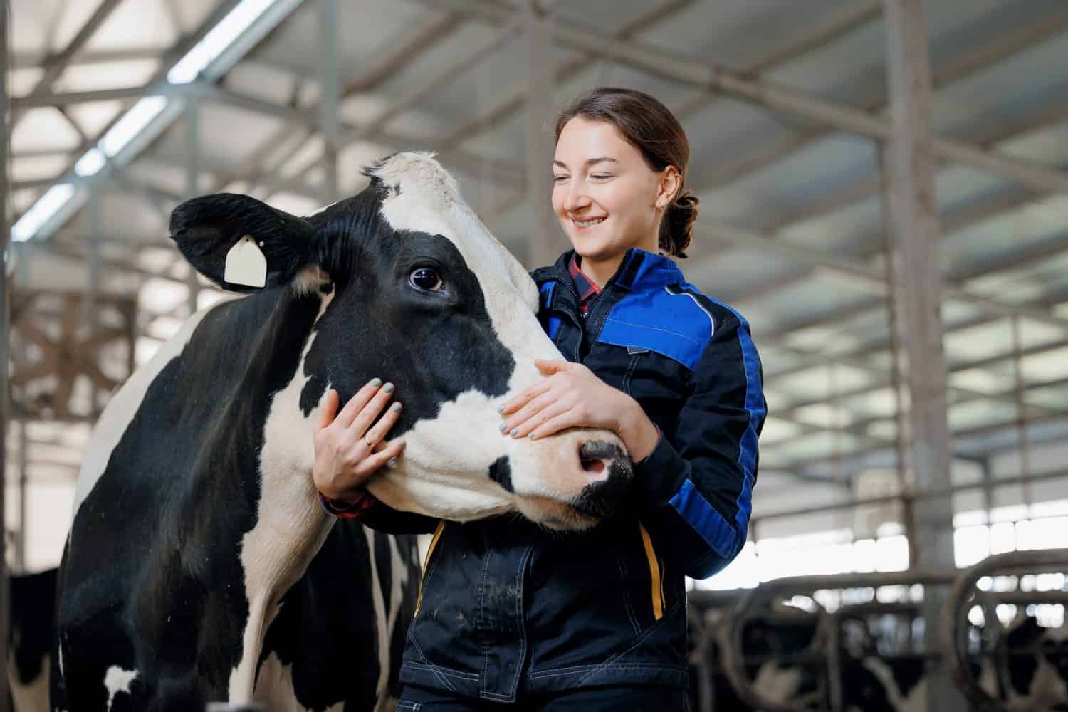 Happy young female farm worker hugging a cow as a sign of concern for animal health care. Concept agriculture cattle livestock industry.