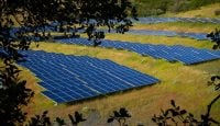 US Solar Power Just Hit a Record High as AI Data Centers Push Electricity Demand to New Highs