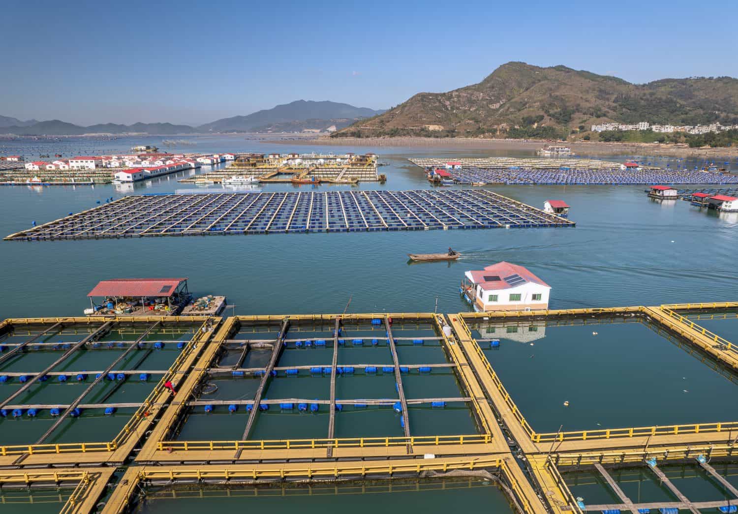 Aerial view of sea fish farm cages and fishing village in XiaPu, Fujian Province, China.