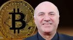 Kevin O’Leary Says Investing $100 a Week Will Make You a Millionaire by Retirement