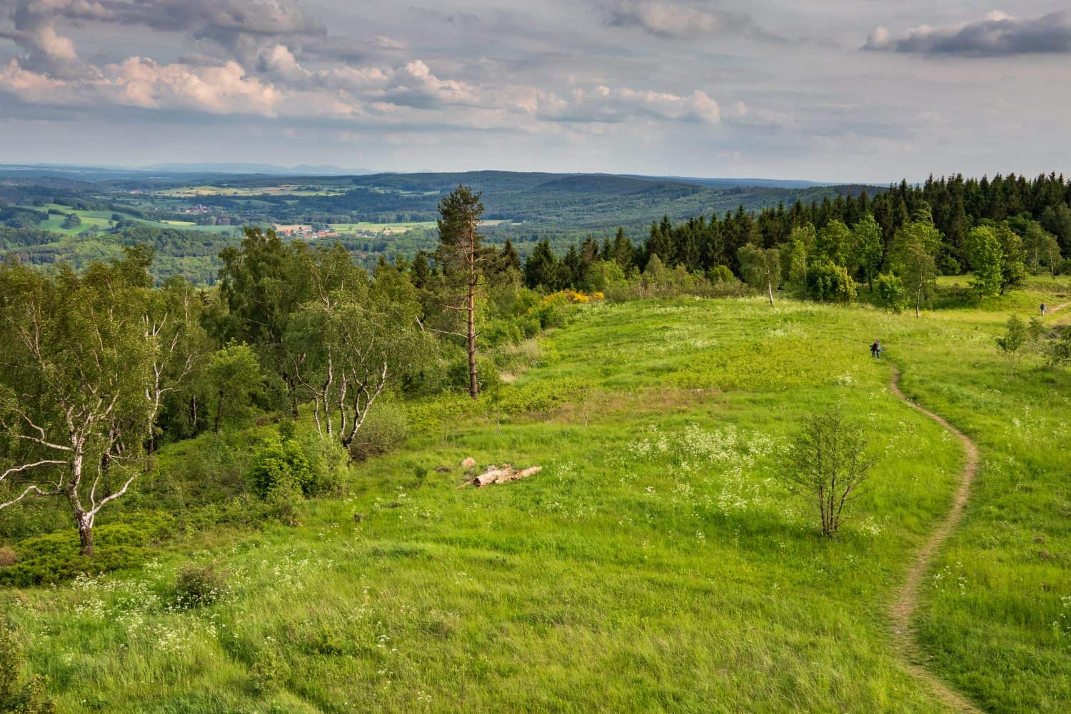 The landscape of Teutoburg Forest in Germany .