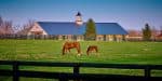 He Thought $50,000 From Barn Weddings Was Rent. Social Security Saw a Second Job.