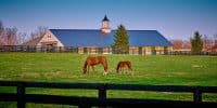 He Thought $50,000 From Barn Weddings Was Rent. Social Security Saw a Second Job.