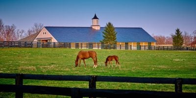 He Thought $50,000 From Barn Weddings Was Rent. Social Security Saw a Second Job.