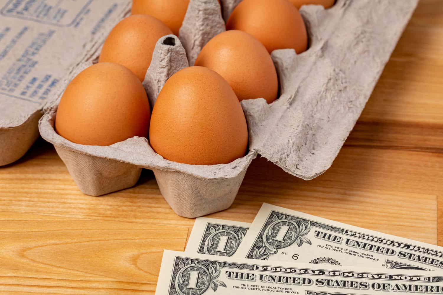 Fresh brown chicken eggs in carton with cash money. Egg price, grocery shopping and poultry farming concept.